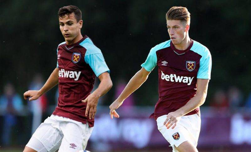 结果显示 结果显示